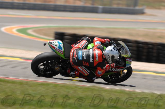 Salom_3106.jpg