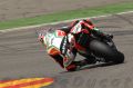 Camier_1157.jpg