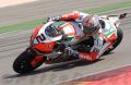 Camier_1469.jpg