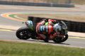 Salom_3106.jpg
