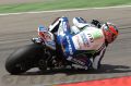 Camier_0566.jpg