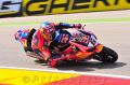 Bradl_5865.jpg