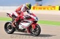 Camier_5955.jpg
