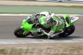 Salom_0289.jpg