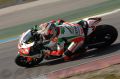 Biaggi_7347.jpg