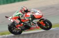 Biaggi_9537.jpg