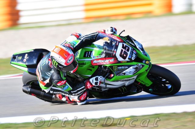 Rea_4763.jpg