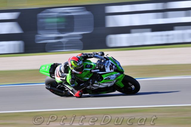 Salom_4737.jpg