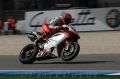 Camier_4011.jpg