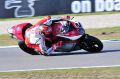 Camier_4667.jpg