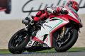 Camier_6347.jpg