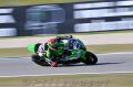 Salom_4737.jpg