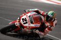 Bayliss_1225.JPG