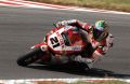 Bayliss_1385.JPG