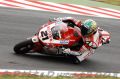 Bayliss_2771.JPG
