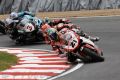 Bayliss_4039.JPG