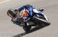Costantini_0452.JPG