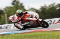 Bayliss_4508.JPG