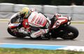 Bayliss_6541.JPG