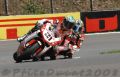 Bayliss_8127.JPG
