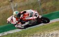 Bayliss_9066.JPG