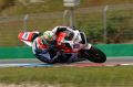 Vizziello_5381.jpg