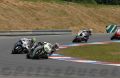Rea_9553.jpg