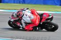 Camier_0984.jpg