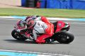 Camier_1009.jpg