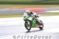 TOF_2841_Sofuoglu.jpg