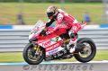 TOF_9720_Davies.jpg
