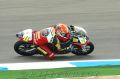 Cortese_8887.JPG