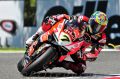 Davies_9820.jpg
