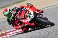 Giugliano_8298.jpg