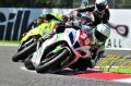 Pagaud_0054.jpg