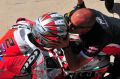 Camier_8248.jpg