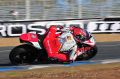 Camier_4062.jpg