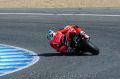 Davies_3720.jpg