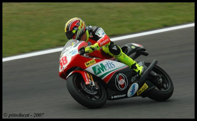 Simoncelli_7586.jpg
