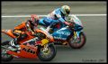 Bonsey_8464.jpg