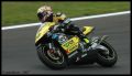 Dovi_7531.jpg