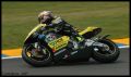 Dovi_7577.jpg