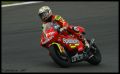 Lorenzo_7543.jpg