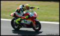 Simoncelli_7896.jpg