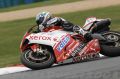 Bayliss_1553.JPG