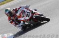 Bayliss_8211.JPG