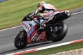 Bayliss_8217.JPG