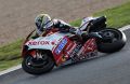 Bayliss_9323.JPG