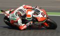 Camier_1001.JPG