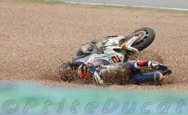 Camier_0574.jpg